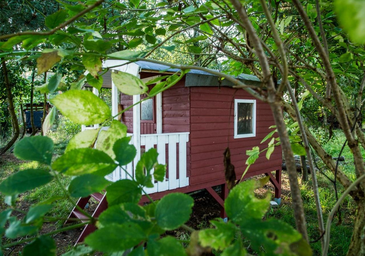 Ferienwohnung Sina Pruchten Exterior foto